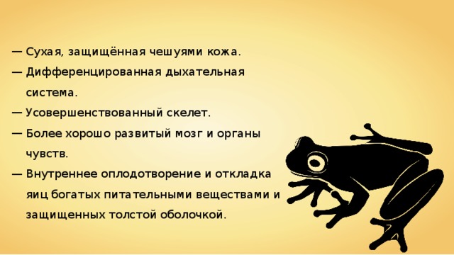 Сухая, защищённая чешуями кожа. Дифференцированная дыхательная система. Усовершенствованный скелет. Более хорошо развитый мозг и органы чувств. Внутреннее оплодотворение и откладка яиц богатых питательными веществами и защищенных толстой оболочкой. 
