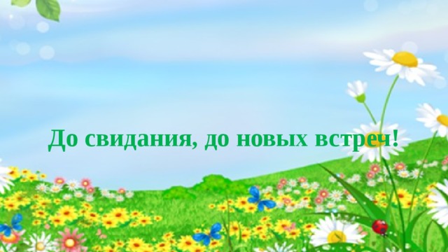 До свидания, до новых встреч! 