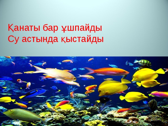 Қанаты бар ұшпайды  Су астында қыстайды 