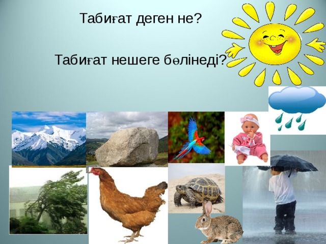 Табиғат деген не? Табиғат нешеге бөлінеді? 