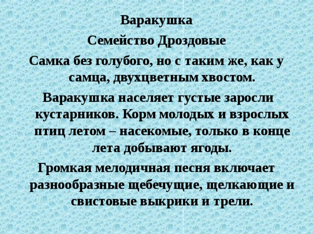 Варакушка Семейство Дроздовые Самка без голубого, но с таким же, как у самца, двухцветным хвостом.  Варакушка населяет густые заросли кустарников. Корм молодых и взрослых птиц летом – насекомые, только в конце лета добывают ягоды. Громкая мелодичная песня включает разнообразные щебечущие, щелкающие и свистовые выкрики и трели.