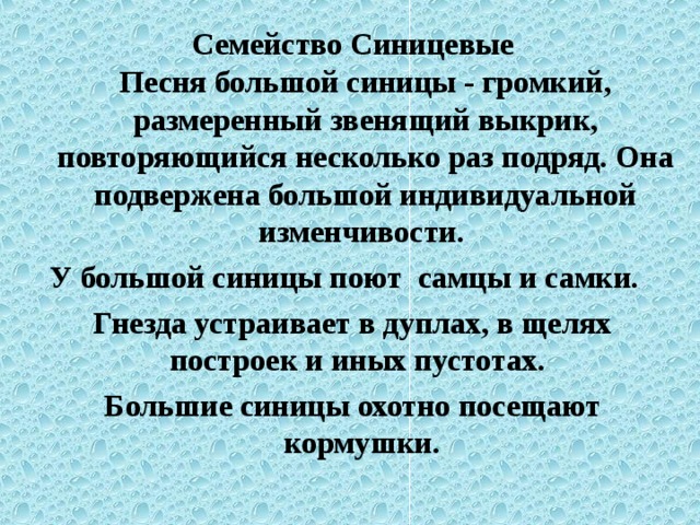 Семейство Синицевые  Песня большой синицы - громкий, размеренный звенящий выкрик, повторяющийся несколько раз подряд. Она подвержена большой индивидуальной изменчивости. У большой синицы поют самцы и самки. Гнезда устраивает в дуплах, в щелях построек и иных пустотах. Большие синицы охотно посещают кормушки.