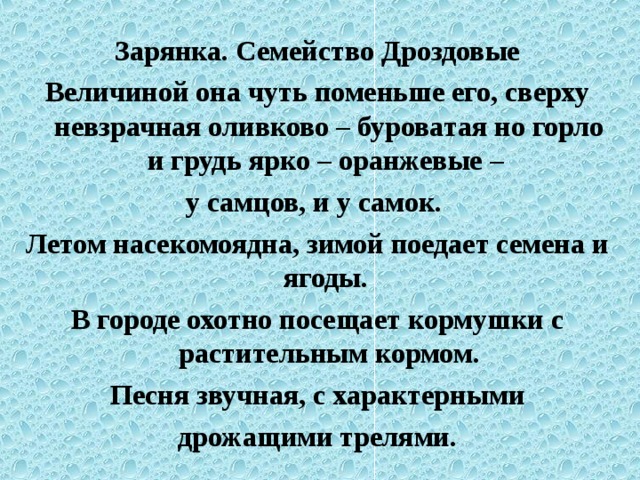 Зарянка. Семейство Дроздовые Величиной она чуть поменьше его, сверху невзрачная оливково – буроватая но горло и грудь ярко – оранжевые – у самцов, и у самок. Летом насекомоядна, зимой поедает семена и ягоды. В городе охотно посещает кормушки с растительным кормом.  Песня звучная, с характерными дрожащими трелями.