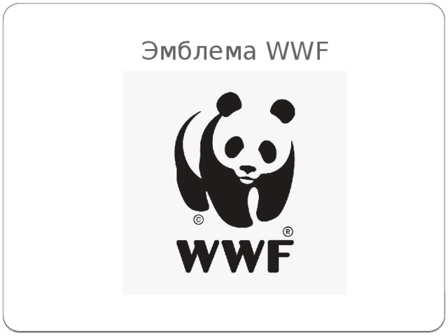 Эмблема WWF 