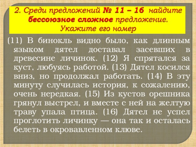 (11) В бинокль видно было, как длинным языком дятел доставал засевших в древесине личинок. (12) Я спрятался за куст, любуясь работой. (13) Дятел косился вниз, но продолжал работать. (14) В эту минуту случилась история, к сожалению, очень нередкая. (15) Из кустов орешника грянул выстрел, и вместе с ней на желтую траву упала птица. (16) Дятел не успел проглотить личинку — она так и осталась белеть в окровавленном клюве. 