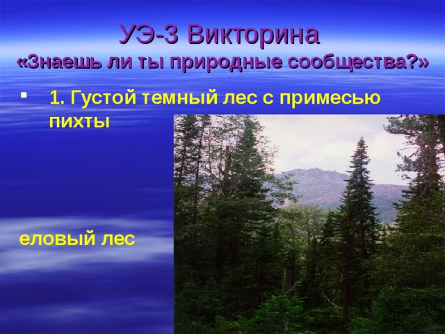 УЭ-3 Викторина  «Знаешь ли ты природные сообщества?» 1. Густой темный лес с примесью пихты     еловый лес 