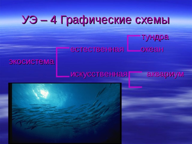 УЭ – 4 Графические схемы  тундра  естественная океан экосистема  искусственная аквариум 