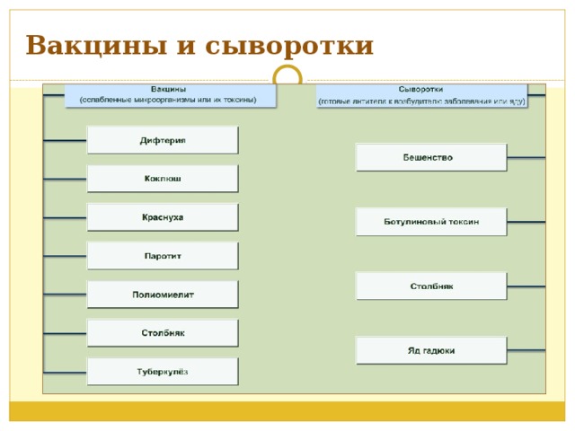 Вакцины и сыворотки 