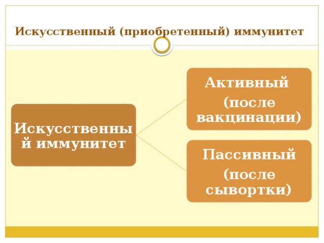 Искусственный (приобретенный) иммунитет Активный (после вакцинации) Искусственный иммунитет Пассивный (после сывортки) 