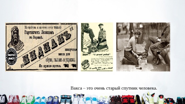 Вакса – это очень старый спутник человека. 