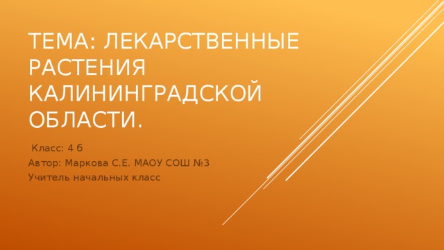Тема: лекарственные растения калининградской области.  Класс: 4 б Автор: Маркова С.Е. МАОУ СОШ №3 Учитель начальных класс 