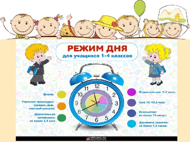     Кит первый – режим дня.    