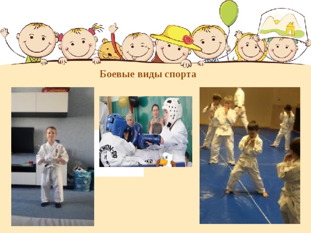 Боевые виды спорта  