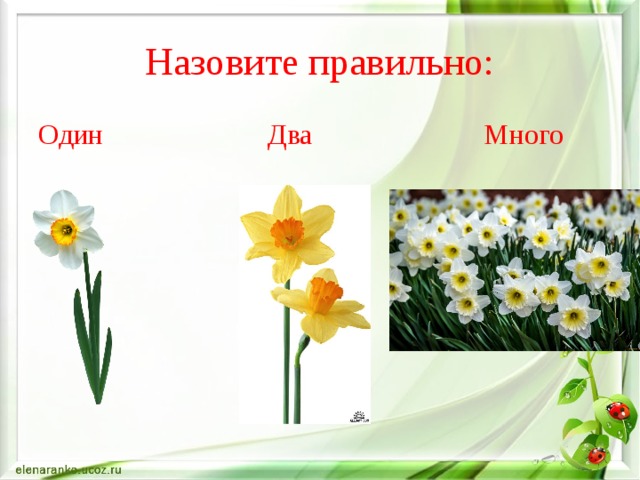 Назовите правильно: Один Два Много 