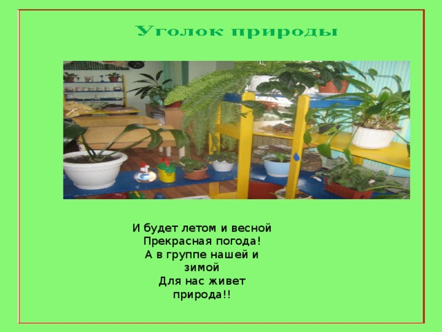 И будет летом и весной Прекрасная погода! А в группе нашей и зимой Для нас живет природа!! 