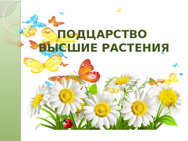 ПОДЦАРСТВО  ВЫСШИЕ РАСТЕНИЯ 
