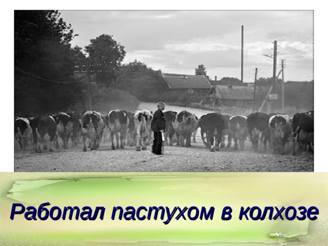 Работал пастухом в колхозе.   Работал пастухом в колхозе 
