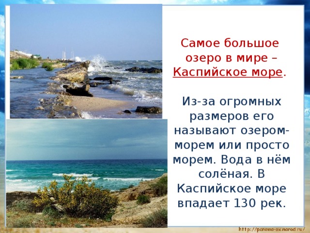  Самое большое  озеро в мире – Каспийское море .  Из-за огромных размеров его называют озером-морем или просто морем. Вода в нём солёная. В Каспийское море впадает 130 рек. 