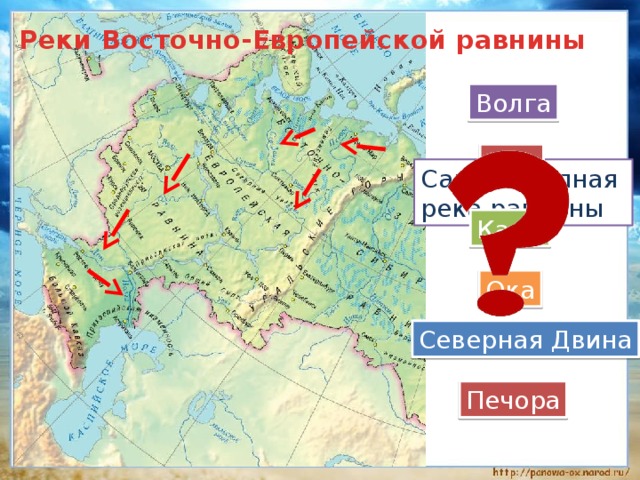 Реки Восточно-Европейской равнины Волга Дон Самая крупная река равнины Кама Ока Северная Двина Печора 