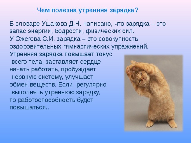 Чем полезна утренняя зарядка? В словаре Ушакова Д.Н. написано, что зарядка – это запас энергии, бодрости, физических сил. У Ожегова С.И. зарядка – это совокупность оздоровительных гимнастических упражнений. Утренняя зарядка повышает тонус  всего тела, заставляет сердце начать работать, пробуждает  нервную систему, улучшает обмен веществ. Если регулярно  выполнять утреннюю зарядку, то работоспособность будет повышаться.. 