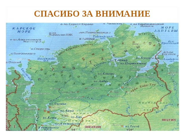 СПАСИБО ЗА ВНИМАНИЕ 