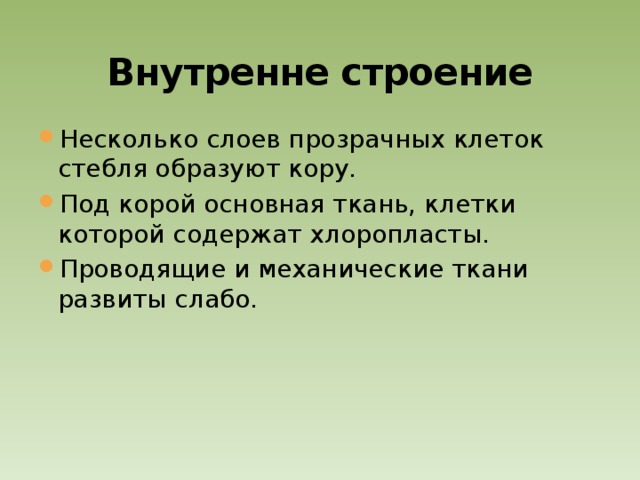 Внутренне строение Несколько слоев прозрачных клеток стебля образуют кору. Под корой основная ткань, клетки которой содержат хлоропласты. Проводящие и механические ткани развиты слабо. 