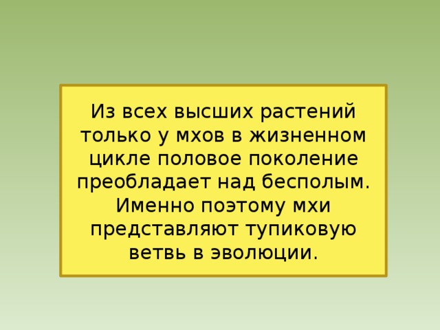 Из всех высших растений только у мхов в жизненном цикле половое поколение преобладает над бесполым. Именно поэтому мхи представляют тупиковую ветвь в эволюции. 