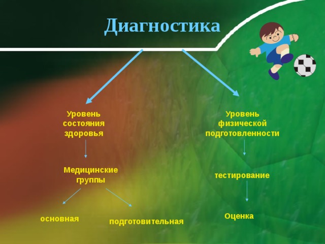 Диагностика Уровень физической подготовленности Уровень состояния здоровья Медицинские группы тестирование Оценка основная подготовительная 