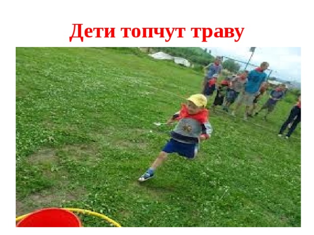 Дети топчут траву 