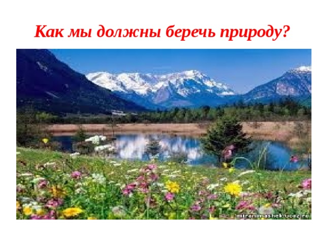 Как мы должны беречь природу? 