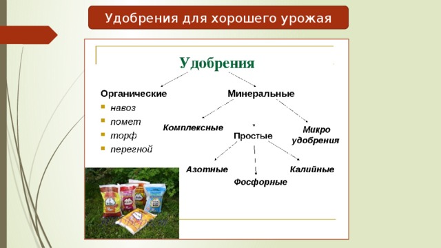 Удобрения для хорошего урожая 