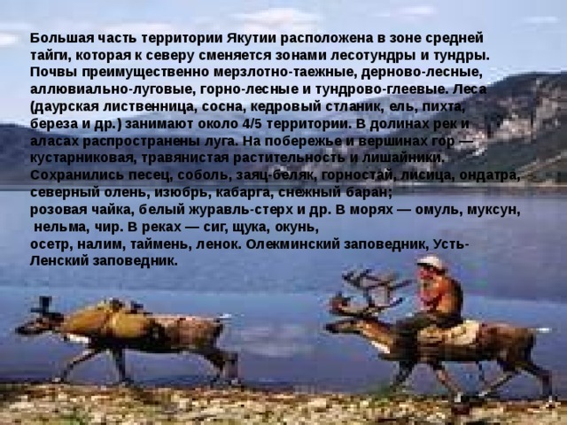 Большая часть территории Якутии расположена в зоне средней тайги, которая к северу сменяется зонами лесотундры и тундры. Почвы преимущественно мерзлотно-таежные, дерново-лесные, аллювиально-луговые, горно-лесные и тундрово-глеевые. Леса (даурская лиственница, сосна, кедровый стланик, ель, пихта, береза и др.) занимают около 4/5 территории. В долинах рек и аласах распространены луга. На побережье и вершинах гор — кустарниковая, травянистая растительность и лишайники. Сохранились песец, соболь, заяц-беляк, горностай, лисица, ондатра, северный олень, изюбрь, кабарга, снежный баран; розовая чайка, белый журавль-стерх и др. В морях — омуль, муксун,  нельма, чир. В реках — сиг, щука, окунь, осетр, налим, таймень, ленок. Олекминский заповедник, Усть- Ленский заповедник. 