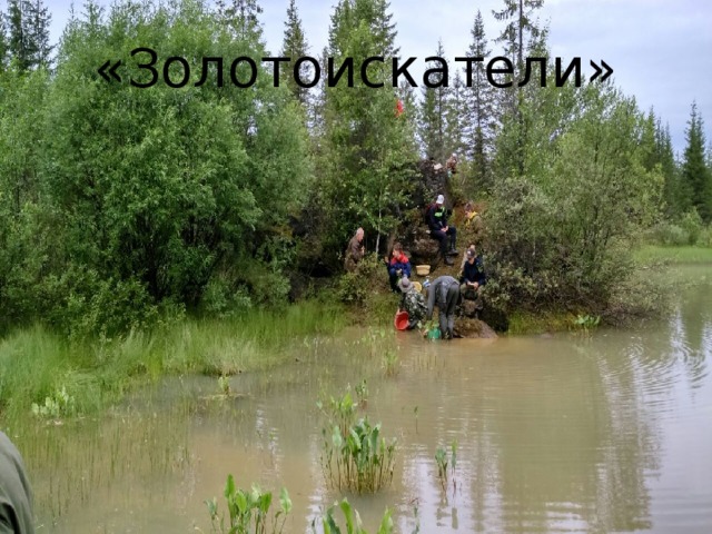 «Золотоискатели» 