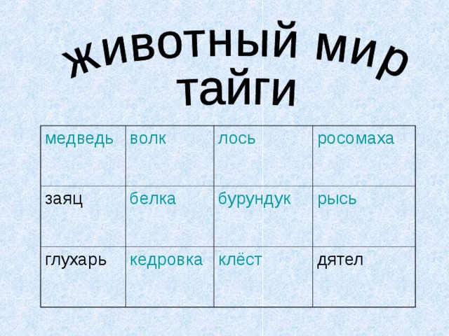медведь волк заяц белка лось глухарь росомаха бурундук кедровка рысь клёст дятел 