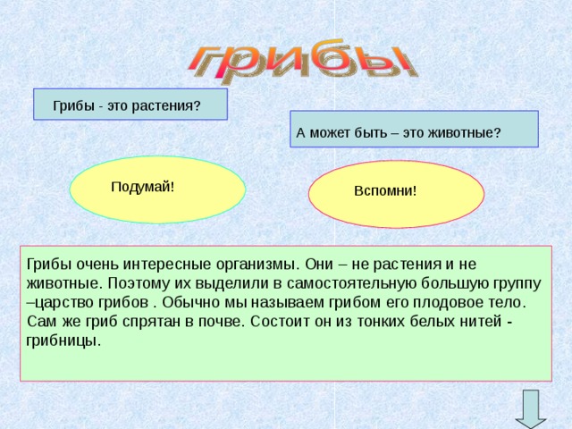Грибы очень интересные организмы. Они – не растения и не животные. Поэтому их выделили в самостоятельную большую группу –царство грибов . Обычно мы называем грибом его плодовое тело. Сам же гриб спрятан в почве. Состоит он из тонких белых нитей - грибницы. 