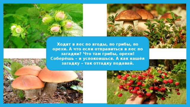 Ходят в лес по ягоды, по грибы, по орехи. А что если отправиться в лес по загадки? Что там грибы, орехи! Соберёшь – и успокоишься. А как нашёл загадку – так отгадку подавай. 