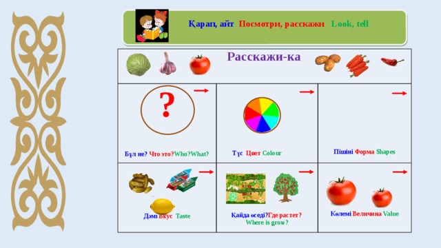  Қарап, айт Посмотри, расскажи Look, tell     Расскажи-ка  ?                  Бұл не? Что это? Who?What?                Қайда өседі? Где растет?   Дәмі Вкус Taste  Where is grow?  Көлемі Величина Value   Түс   Цвет Colour Пішіні  Форма Shapes 