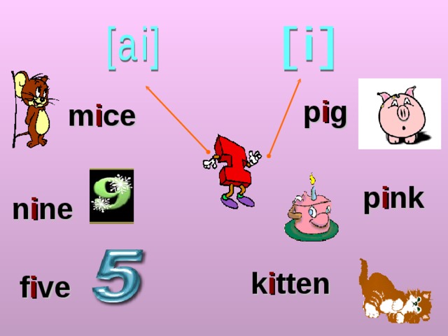 p i g m i ce p i nk n i ne k i tten f i ve 