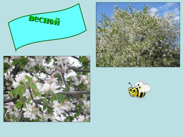 весной 