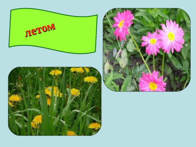 летом 