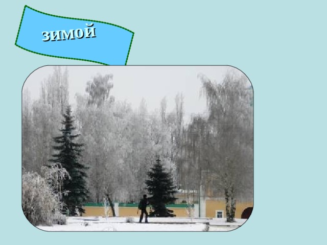 зимой 