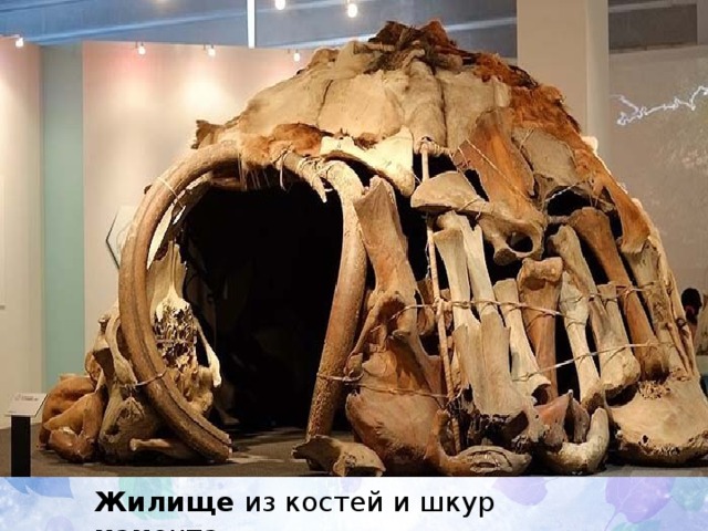 Жилище  из костей и шкур мамонта 