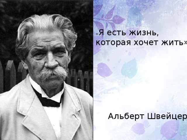 « Я есть жизнь, которая хочет жить» Альберт Швейцер 