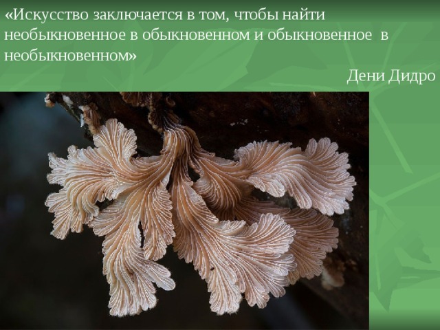 «Искусство заключается в том, чтобы найти необыкновенное в обыкновенном и обыкновенное  в необыкновенном»                                                   Дени Дидро 