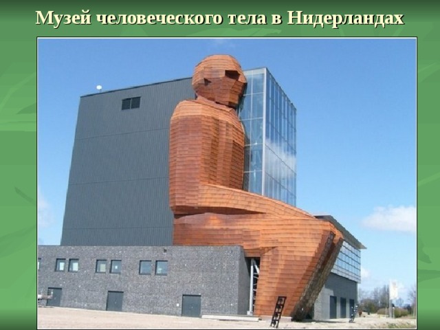 Музей человеческого тела в Нидерландах 