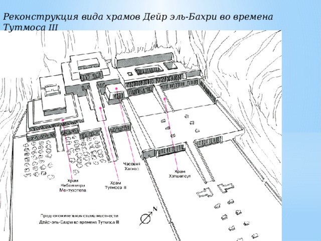 Реконструкция вида храмов Дейр эль-Бахри во времена Тутмоса III  