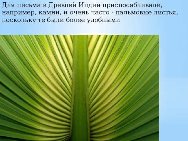Для письма в Древней Индии приспосабливали, например, камни, и очень часто - пальмовые листья, поскольку те были более удобными 