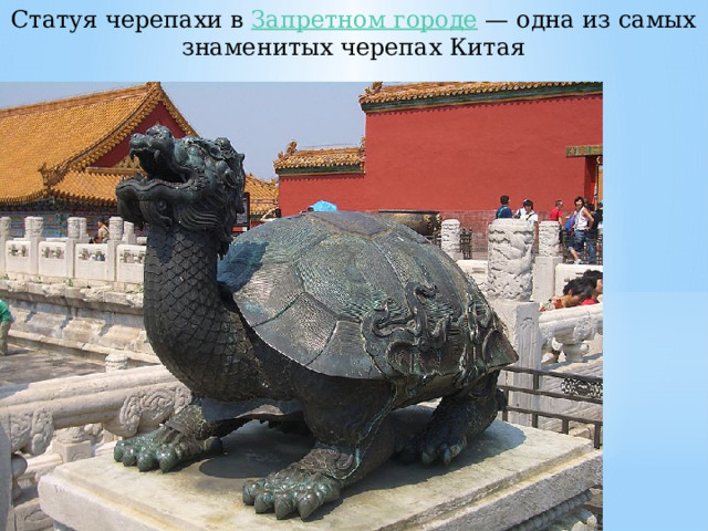 Статуя черепахи в  Запретном городе  — одна из самых знаменитых черепах Китая 