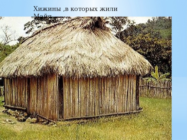 Хижины ,в которых жили Майя    