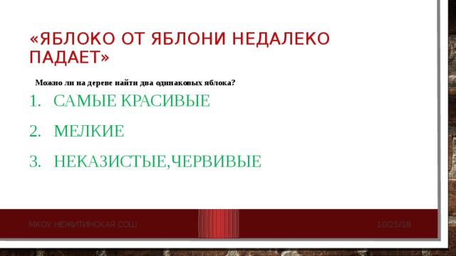 «Яблоко от яблони недалеко падает» Можно ли на дереве найти два одинаковых яблока? Самые красивые Мелкие Неказистые,червивые 10/25/18 МКОУ Нежитинская СОШ  